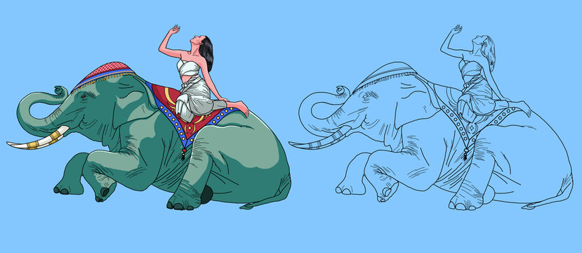 大象上坐着女人插画