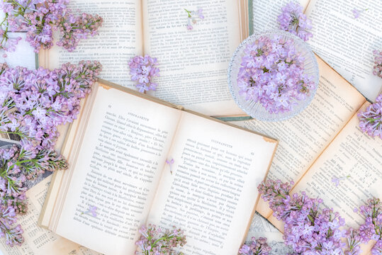 紫丁香与书