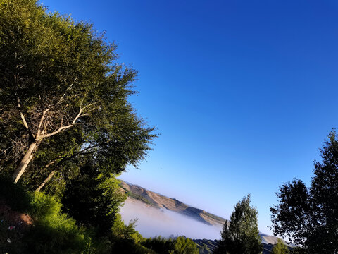 晨雾风景