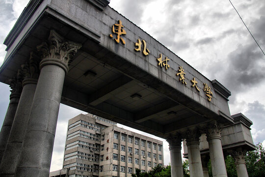 东北林业大学