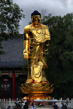 极乐寺释迦摩尼佛立像