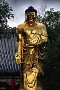 极乐寺释迦摩尼佛立像