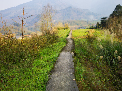 田间小道