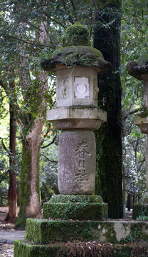 奈良公园的石灯