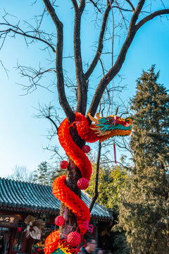 拉花舞龙装饰