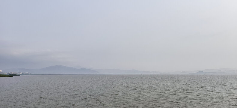 深圳湾景色