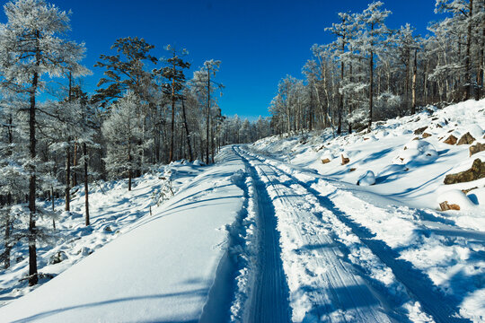 冬季森林积雪道路车辙