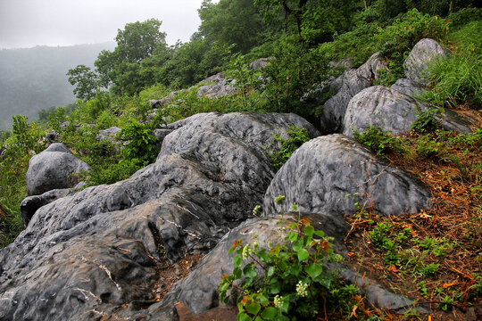 古隆中卧龙岗景区