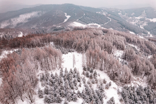 吉林松岭雪村冬季东北农村雪景