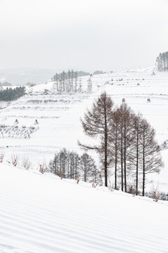 吉林松岭雪村冬季东北农村雪景