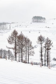 吉林松岭雪村冬季东北农村雪景