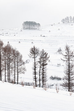 吉林松岭雪村冬季东北农村雪景