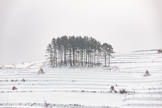 吉林松岭雪村冬季东北农村雪景