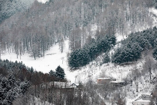 吉林松岭雪村冬季东北农村雪景