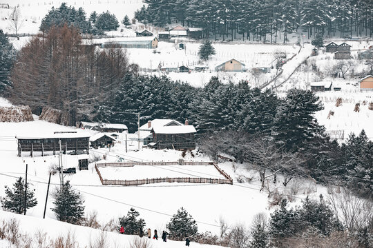 吉林松岭雪村冬季东北农村雪景