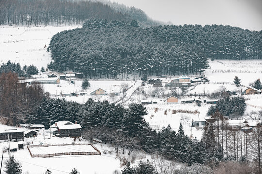 吉林松岭雪村冬季东北农村雪景