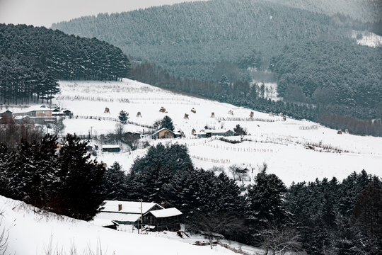 吉林松岭雪村冬季东北农村雪景