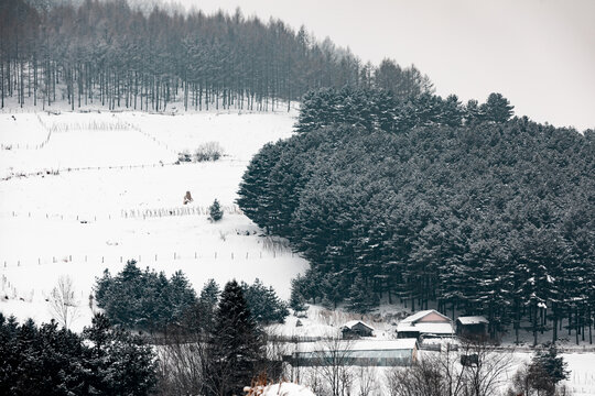 吉林松岭雪村冬季东北农村雪景