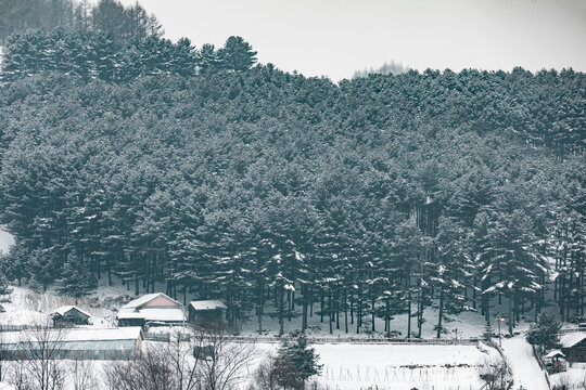 吉林松岭雪村冬季东北农村雪景