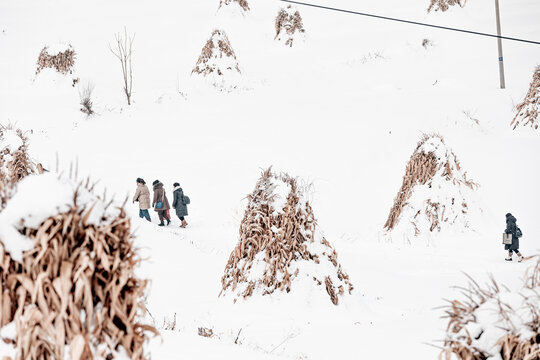 冬季东北农村旅游游客玉米地雪景