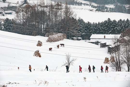 吉林松岭雪村冬季东北农村雪景