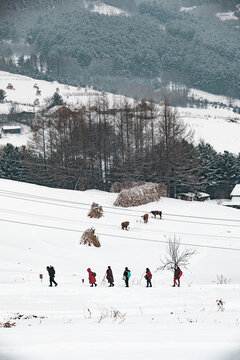 吉林松岭雪村冬季东北农村雪景