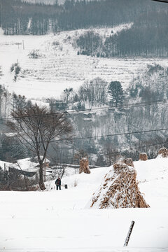 吉林松岭雪村冬季东北农村务农