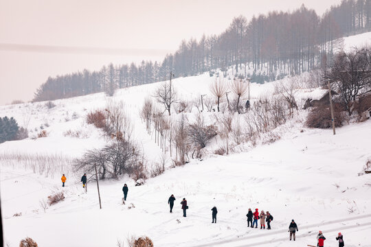 雪村冬季东北农村旅游游客雪景