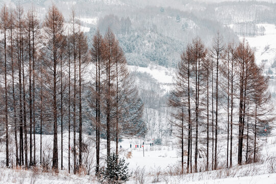 吉林松岭雪村冬季东北农村雪景