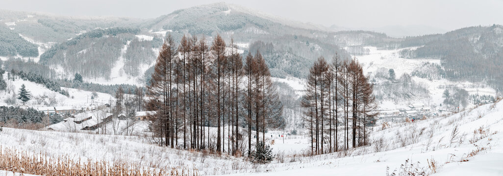 吉林松岭雪村冬季东北农村雪景