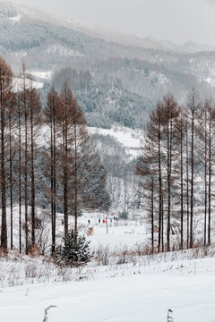 吉林松岭雪村冬季东北农村雪景