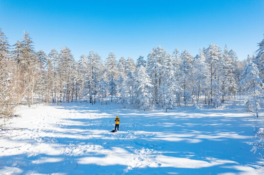 航拍东北雪景旅游森林雪后俯拍