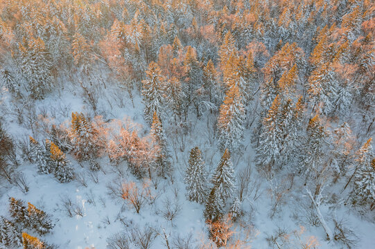 航拍东北雪景旅游森林雪后俯拍