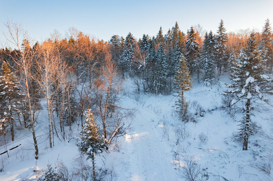 航拍东北雪景旅游森林雪后小路