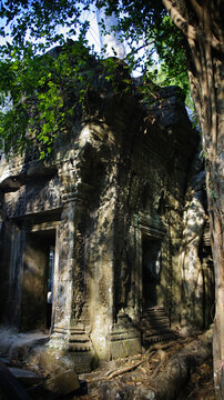 柬埔寨吴哥窟世界遗产古墓丽影