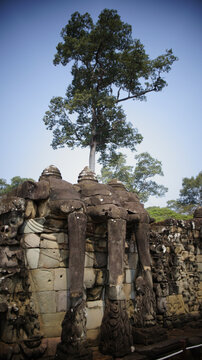 柬埔寨吴哥窟世界遗产古墓丽影