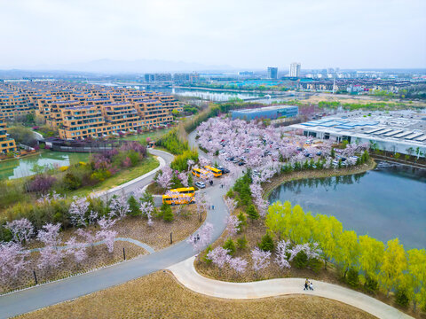 五莲白鹭湾美术小镇