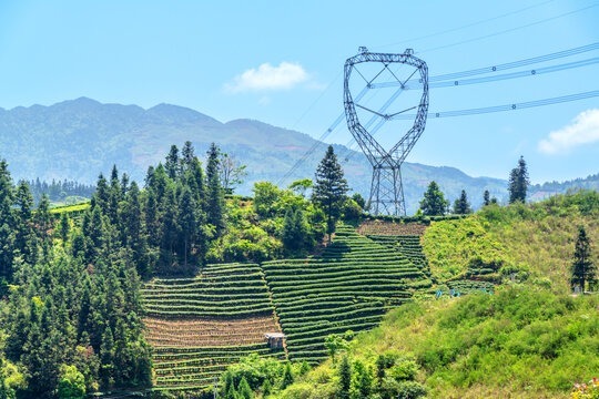 茶山电塔