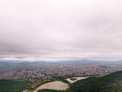 城市