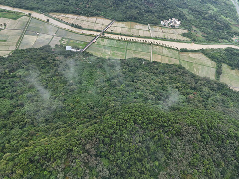 山区农田