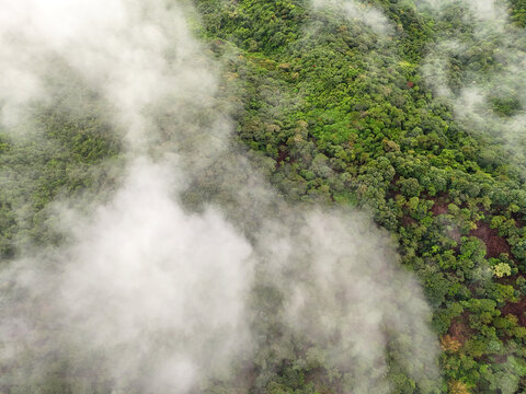 雨雾山林