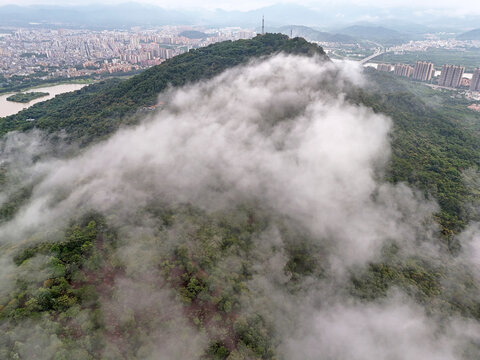 山林俯瞰