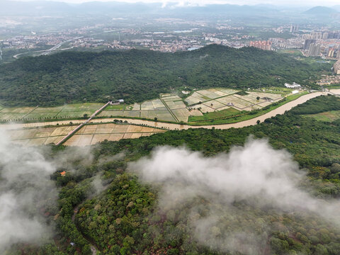 雨雾田野山林