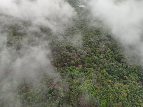 山林雨雾