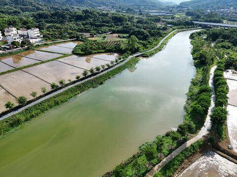 农村稻田河流