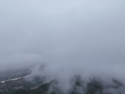 城市生态