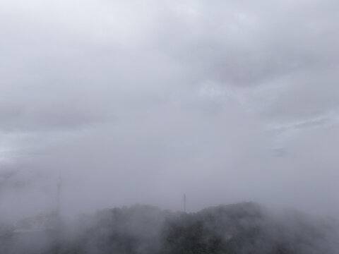 雨雾山林