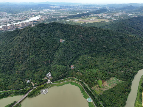 乡镇山林