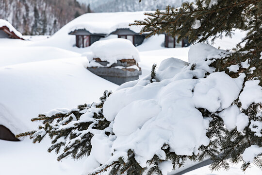 黑龙江雪乡雪景旅游民宿东北农村