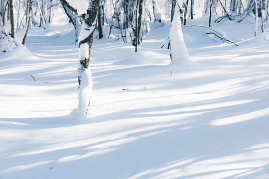 冬季天森林雪景树挂东北老里克湖